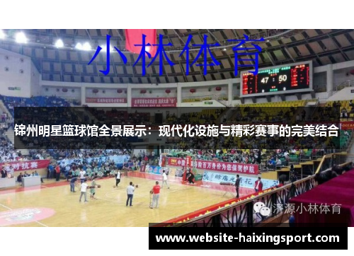 锦州明星篮球馆全景展示：现代化设施与精彩赛事的完美结合